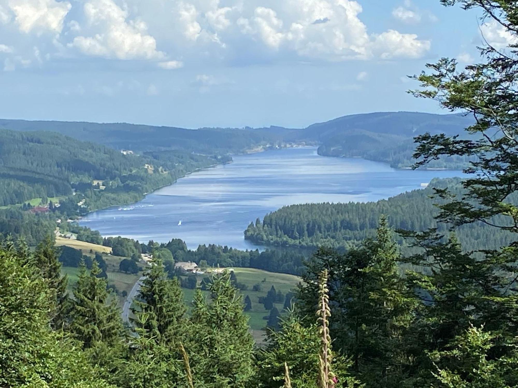 Hotel Zartenbach ヒンターツァルテン エクステリア 写真